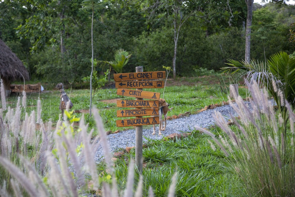 Nativo Glamping 34/48