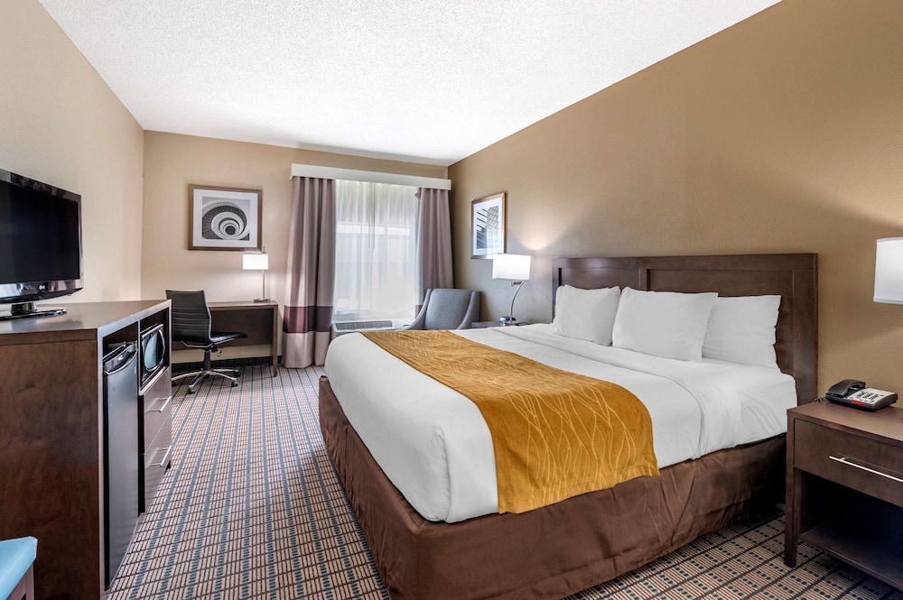 ROOM, KING BED, ACCESSIBLE
