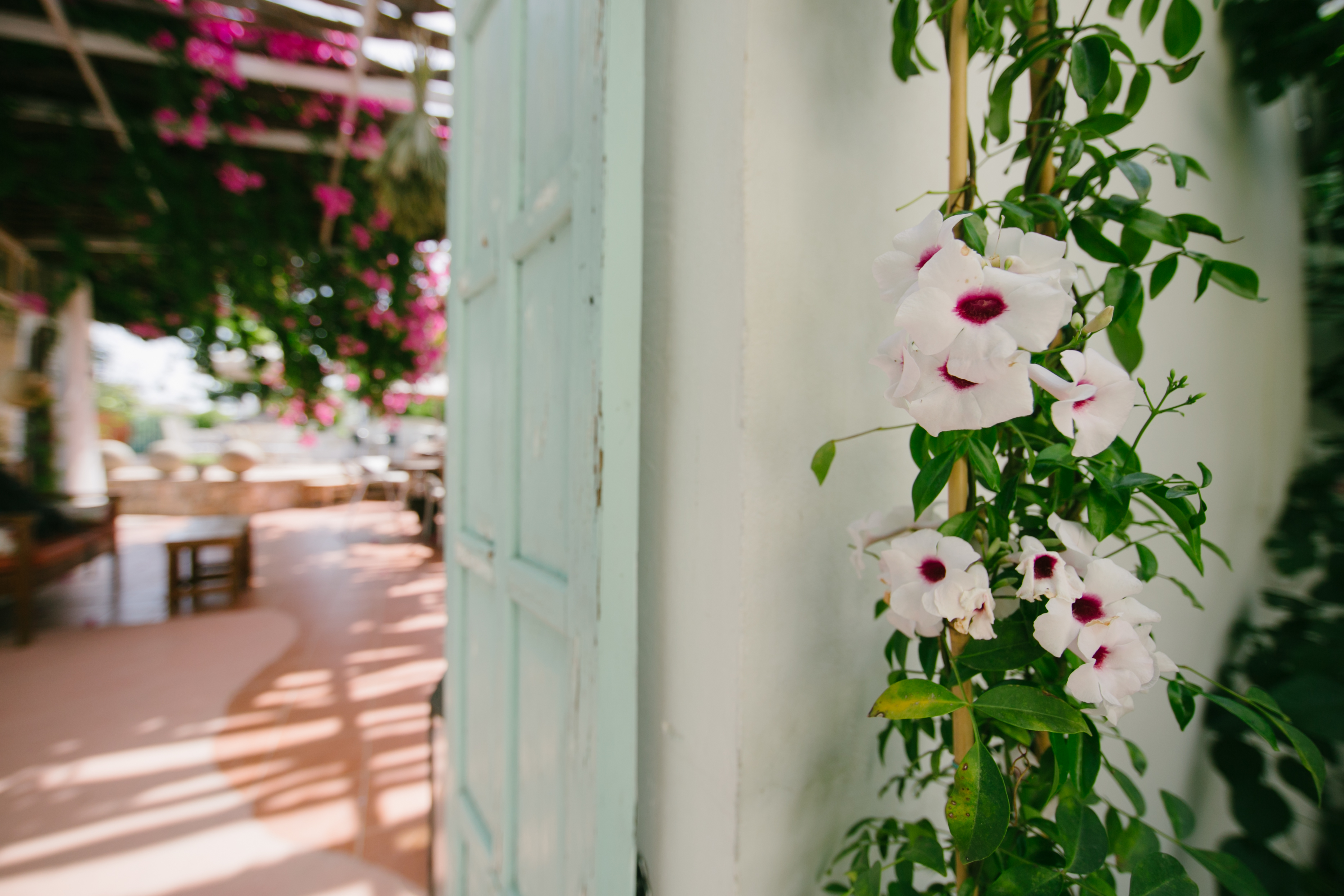 Lobby at Gorgona Studios, FALIRAKI