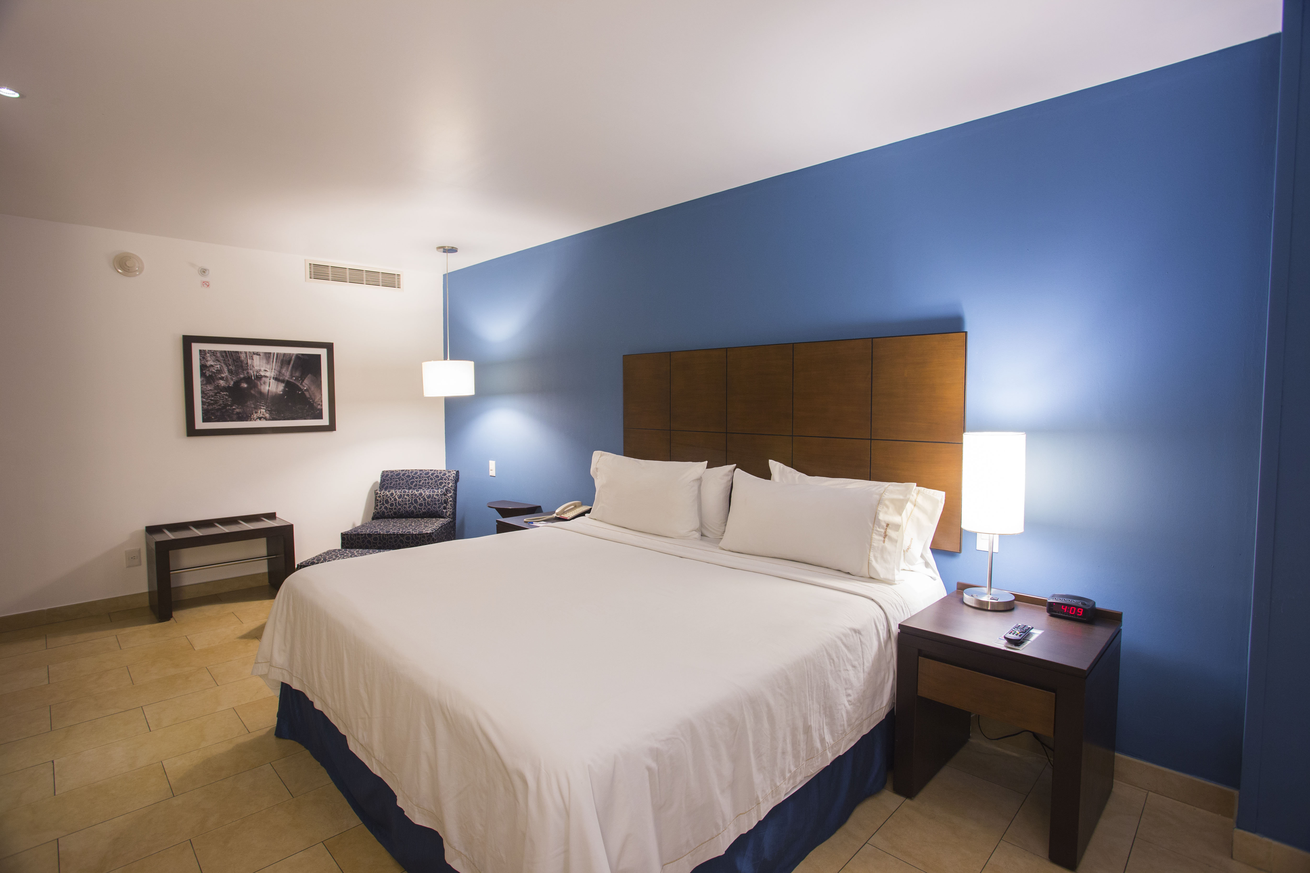 Holiday Inn Express Merida 13/50