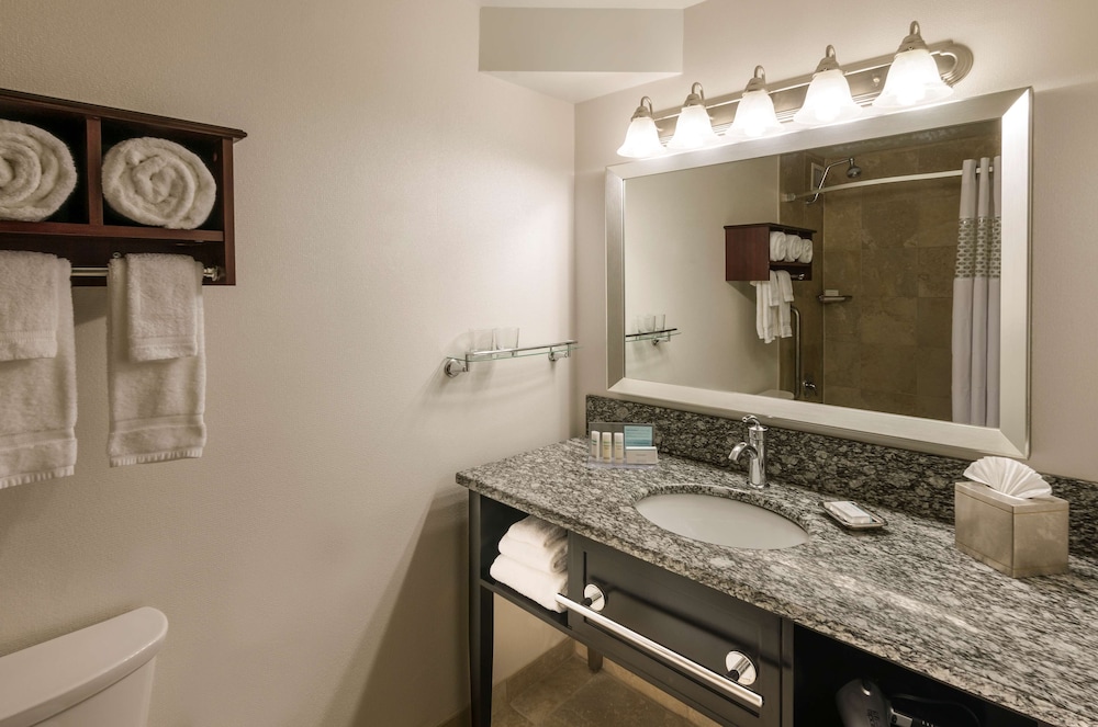 Homewood Suites By Hilton Chicago Downtown/Magnificent Mile 19/46