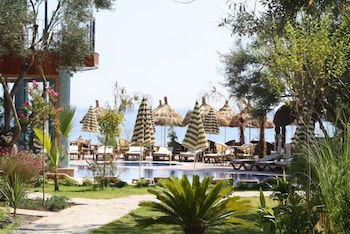 palace hotel olive odore