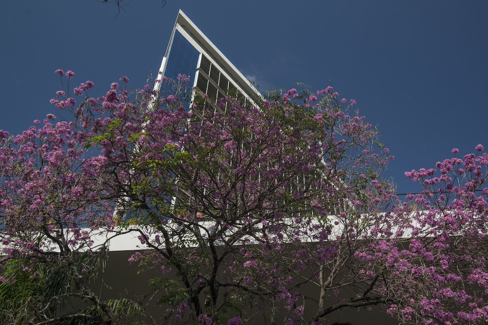 Hotel Guarani (Hotel Guarani Asuncion) 63/67