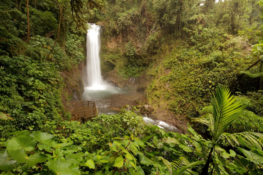 The Peace Lodge At La Paz Waterfall Gardens 51/63
