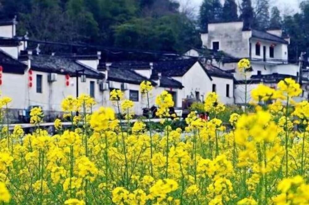Huangshan Xishan Wutongqinyuan 29/36