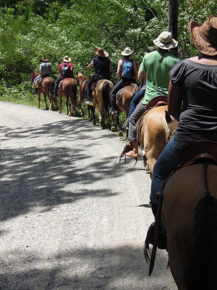 Omega Tours Adventure Company And Eco Jungle Lodge 35/50