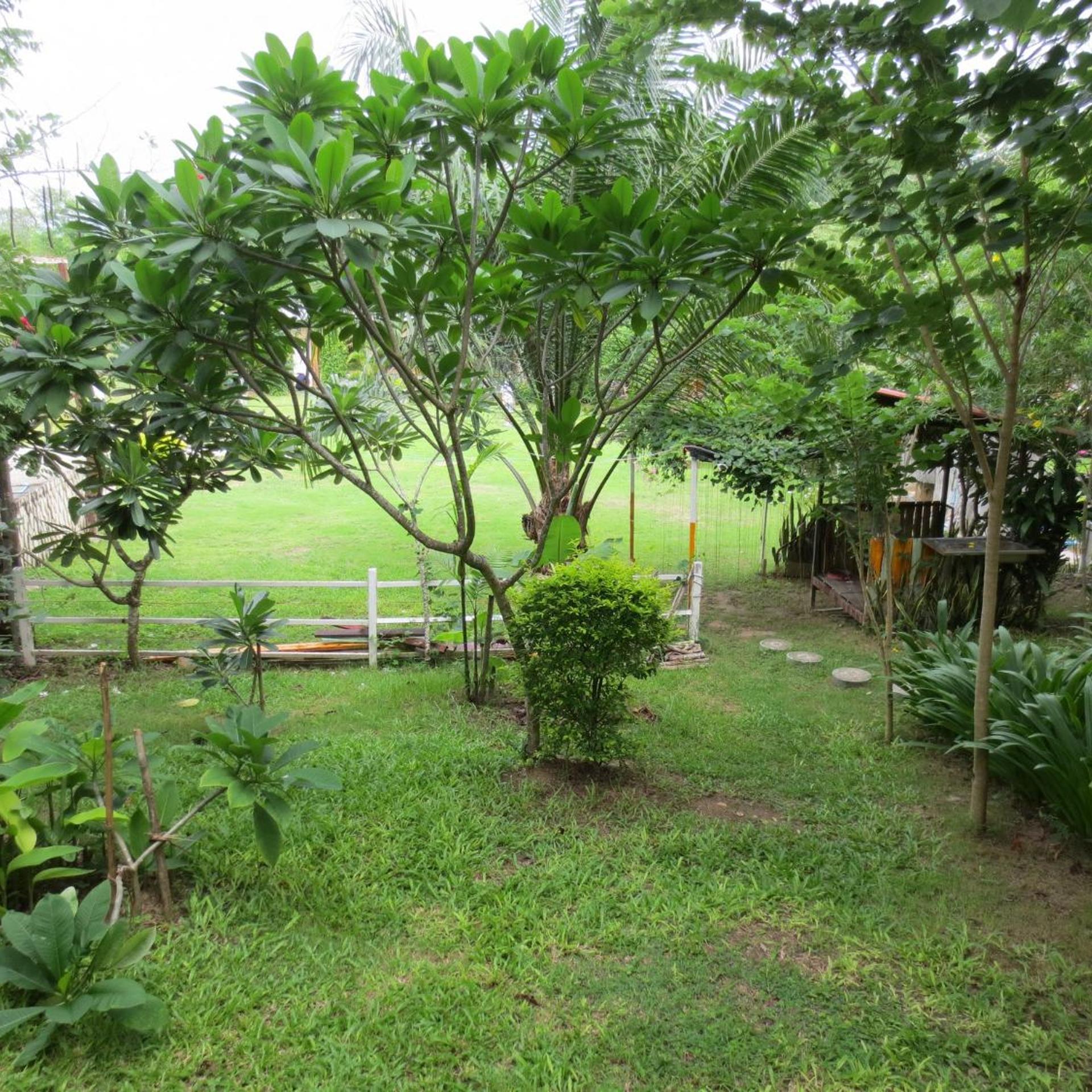 Baan Ton Nam Resort 58/61