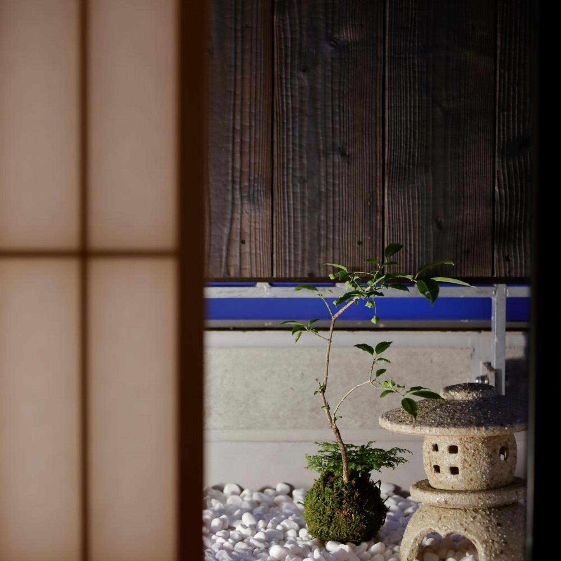 Hotel Kaminarimon 45/50