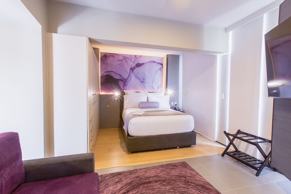HS HOTSSON Hotel CDMX Condesa Sur 12/50