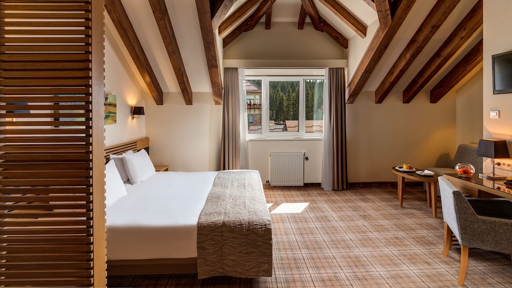 Ana Hotels Sport Poiana Brasov 18/33
