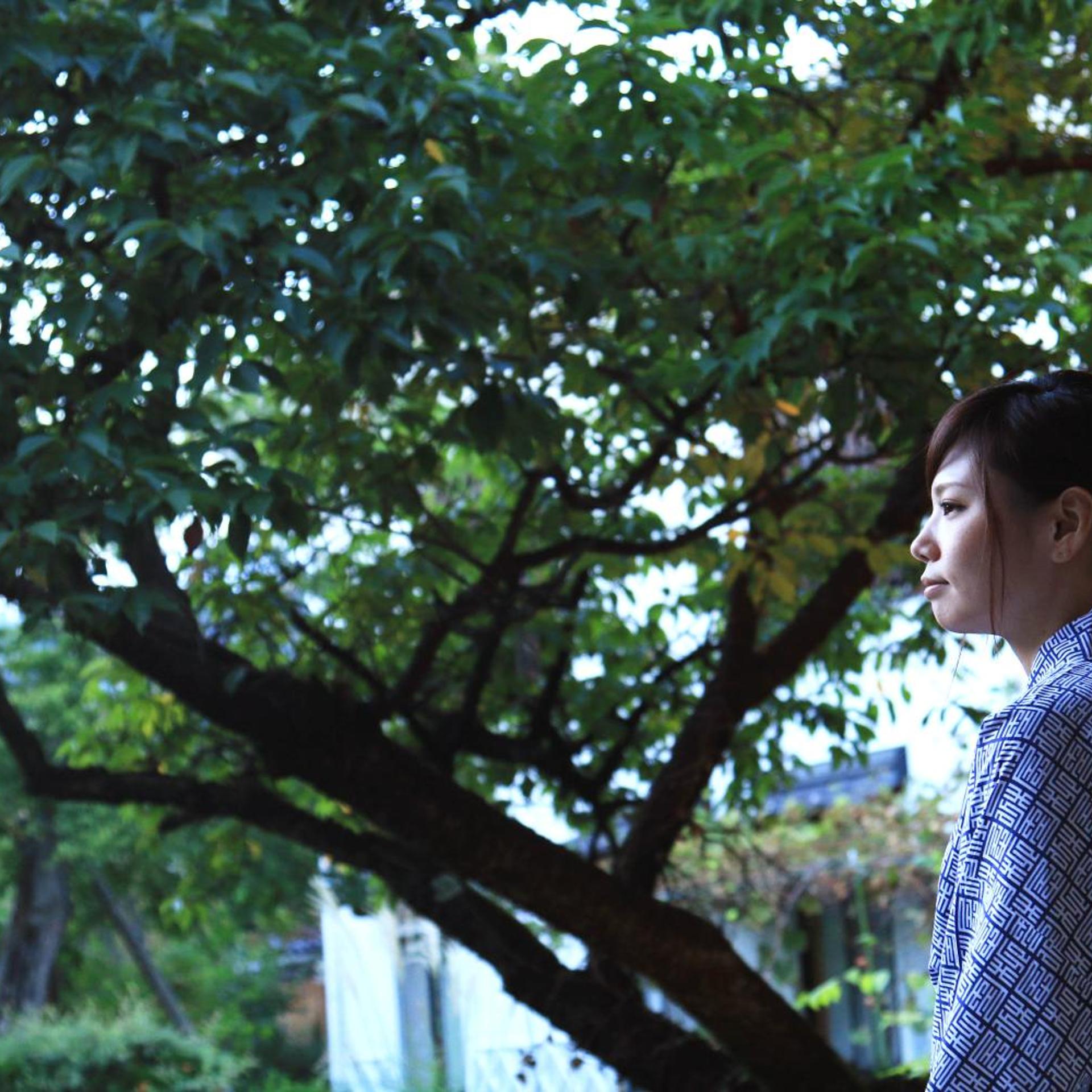 YANAGIYA 47/50