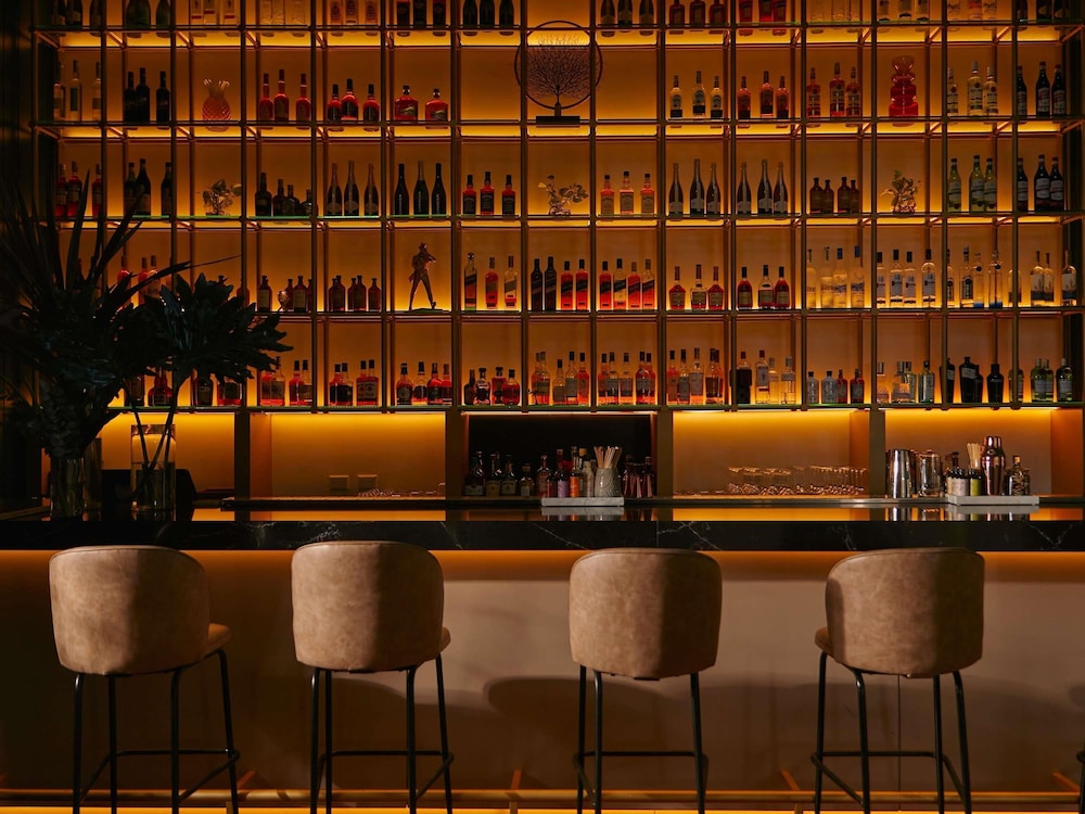 Sofitel Buenos Aires Recoleta 34/48