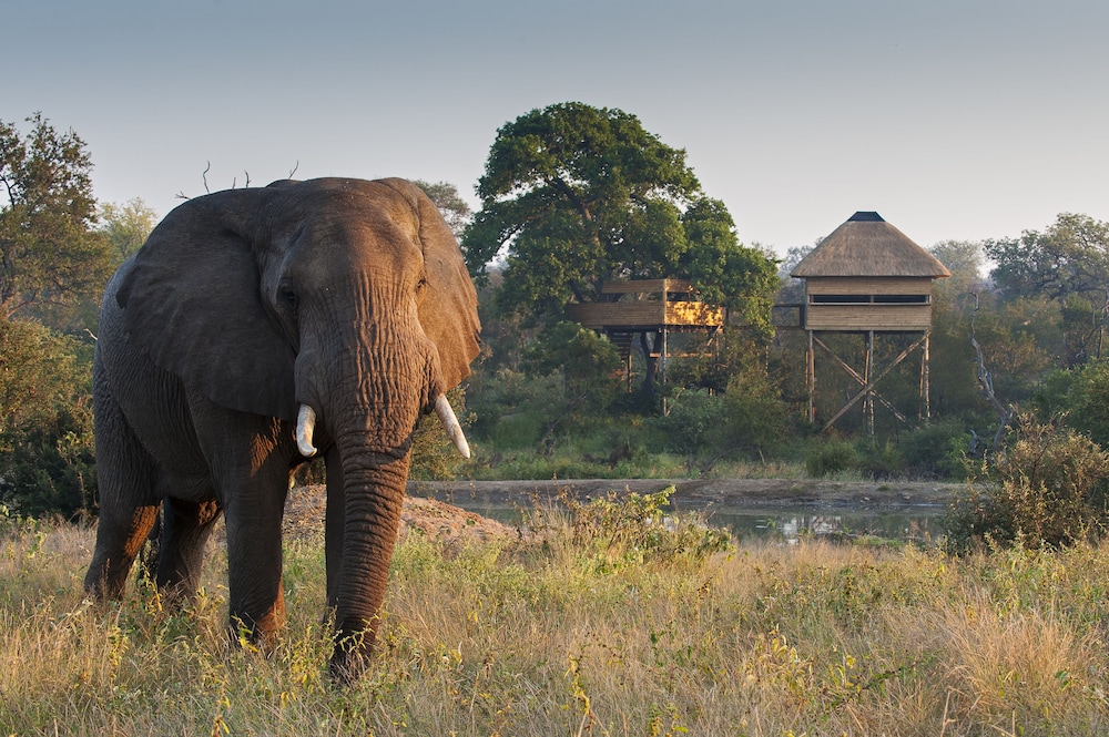 Pondoro Game Lodge 60/66