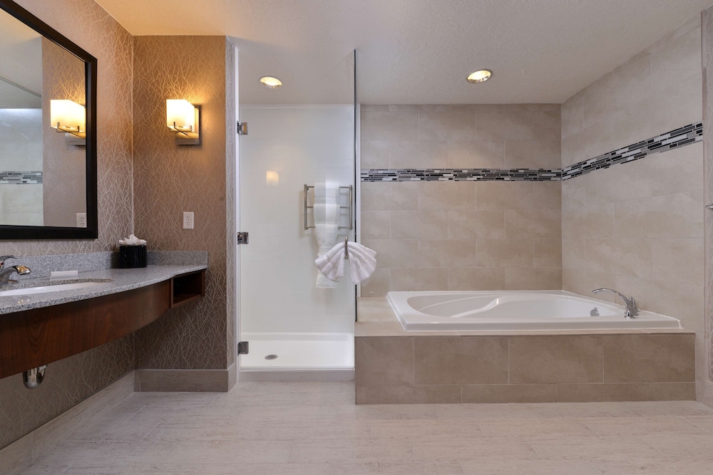 HILTON GARDEN INN HOBBS 16/51