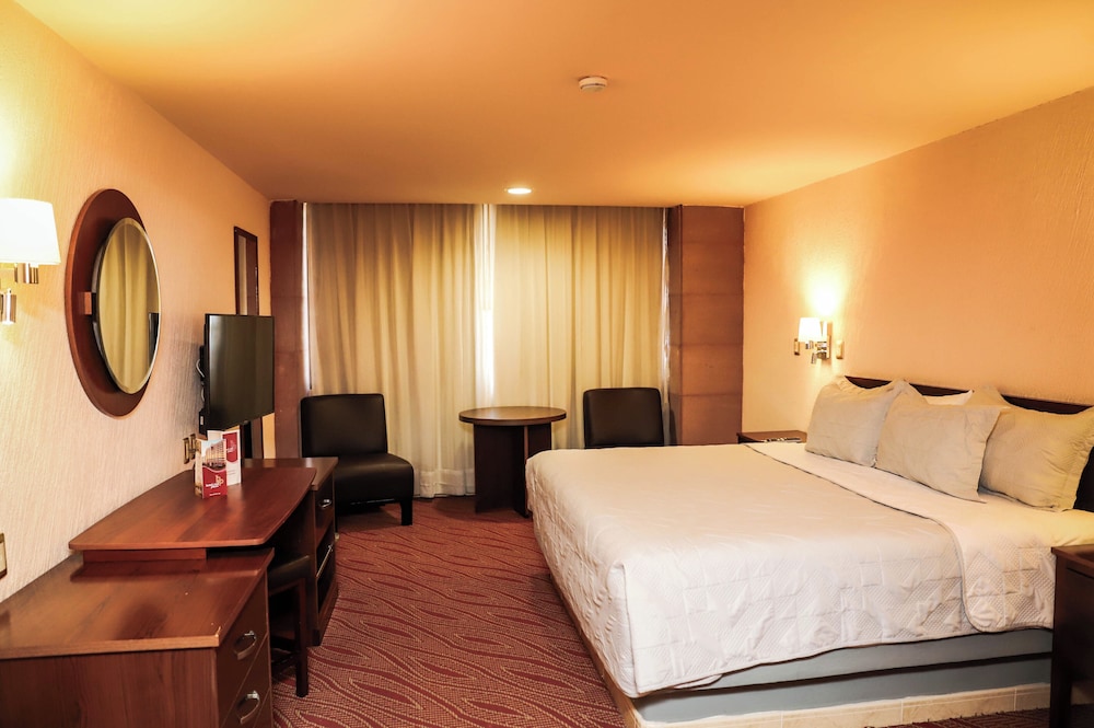 Hotel Real Plaza Aguascalientes 19/71