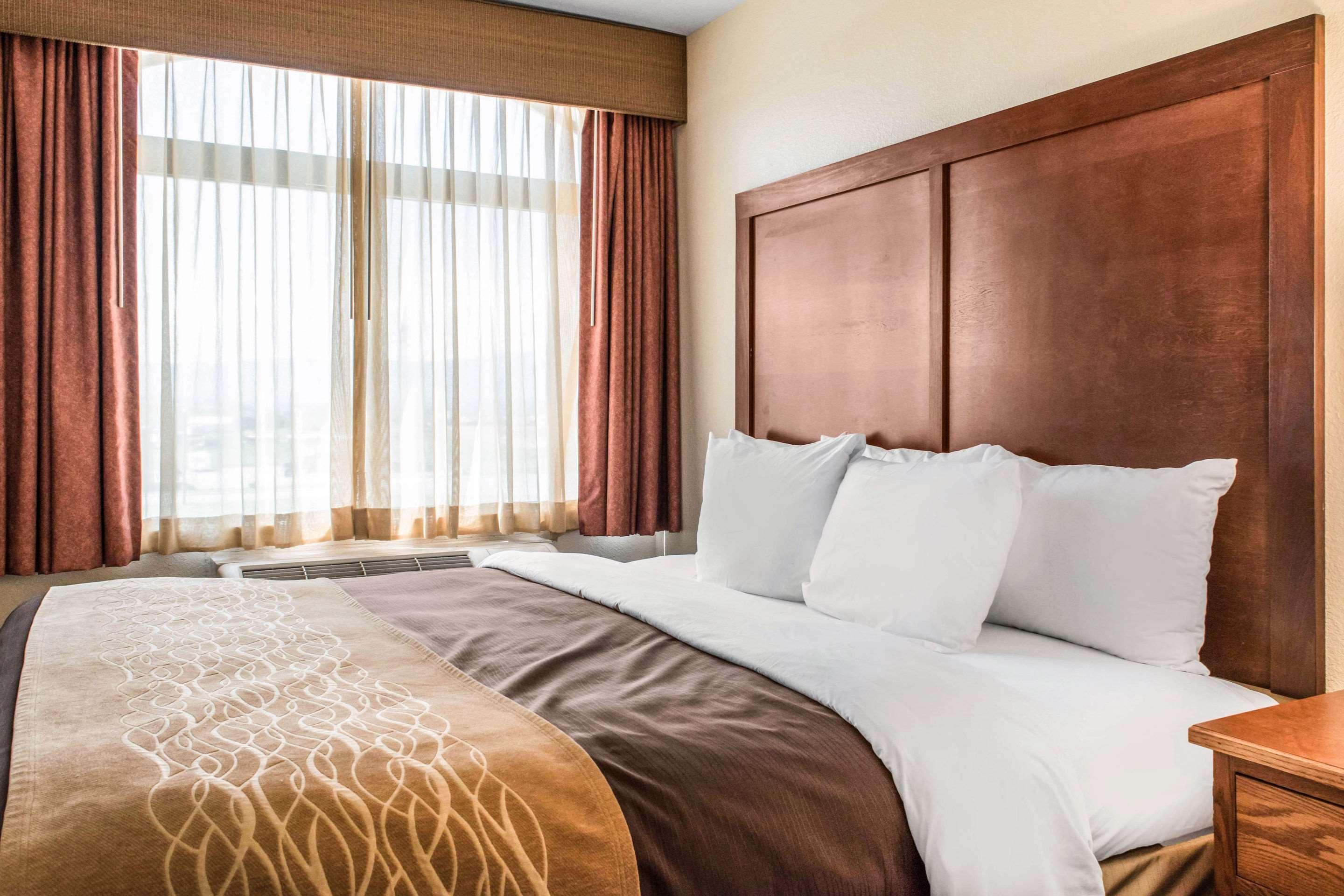 Efficiency, Suite, King Bed