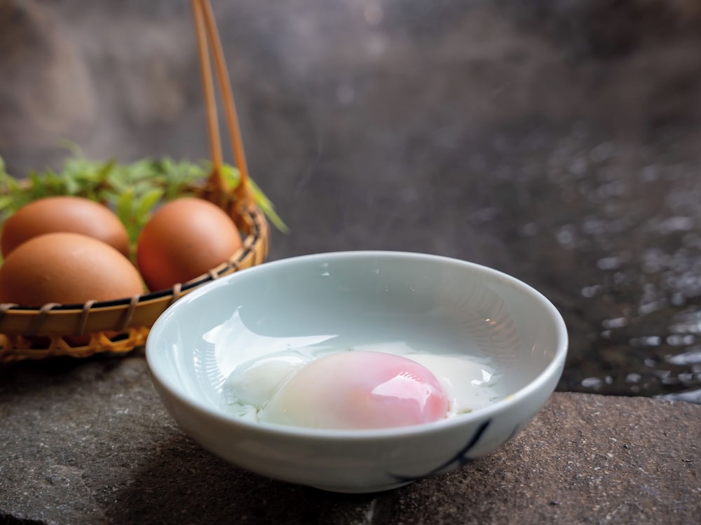 Shiobara Onsen Yashio Lodge 10/42