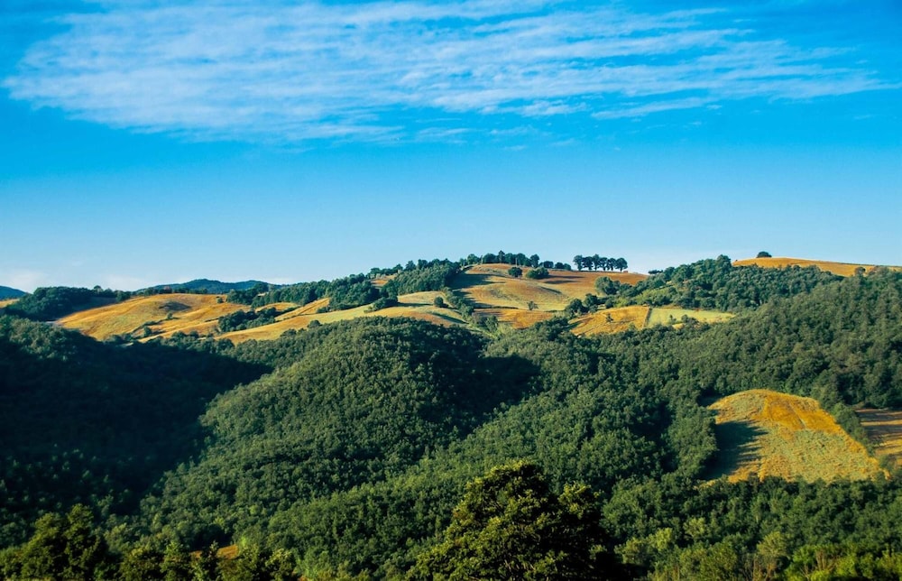 Poggio Al Vento 21/40