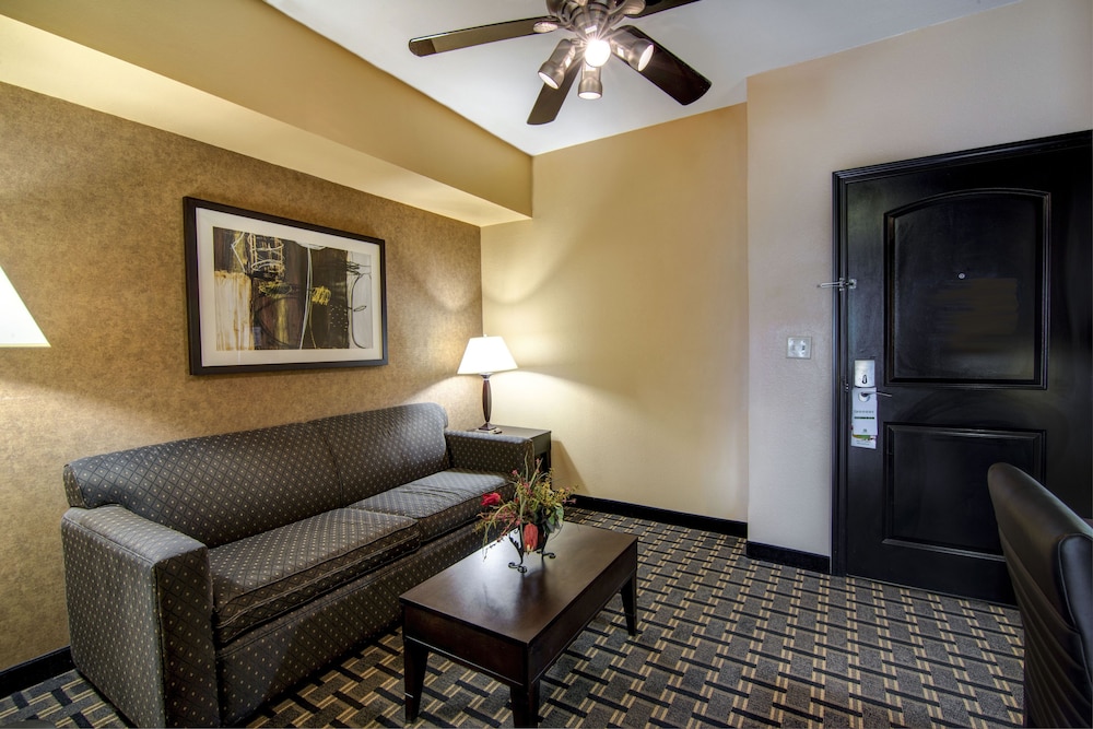 Holiday Inn Arlington Ne Rangers Ballpark 39/69