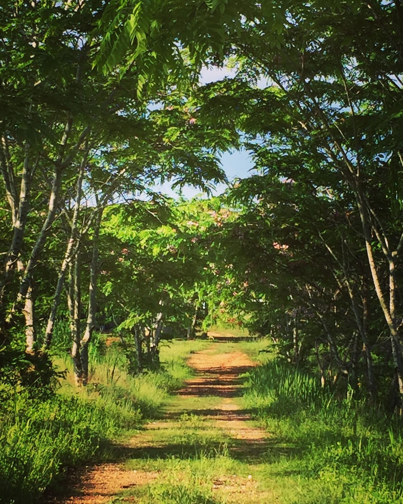 Khaoyai Nature Retreat 26/48