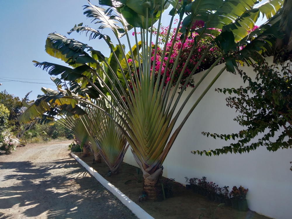 Villa Kalachuchi B&B 44/56