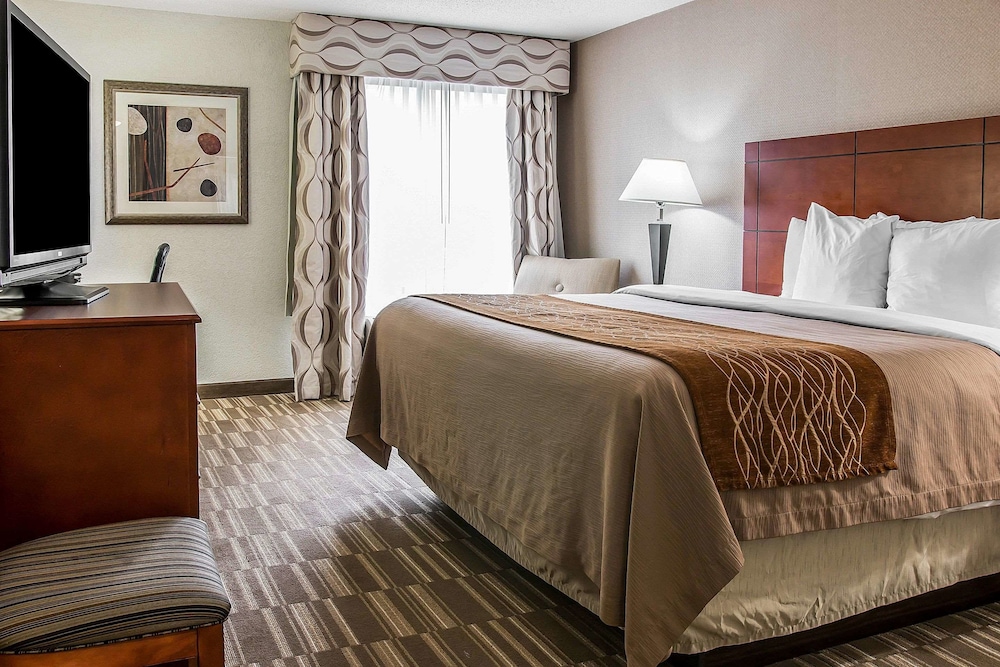 Comfort Inn & Suites University South 6/28