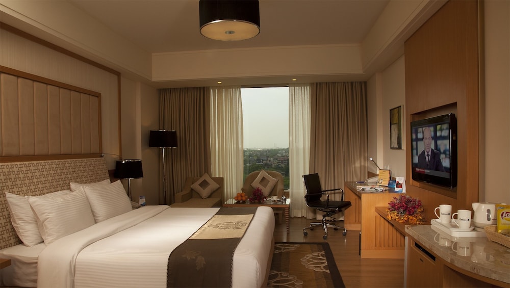 Radisson Blu Hotel Nagpur 16/70