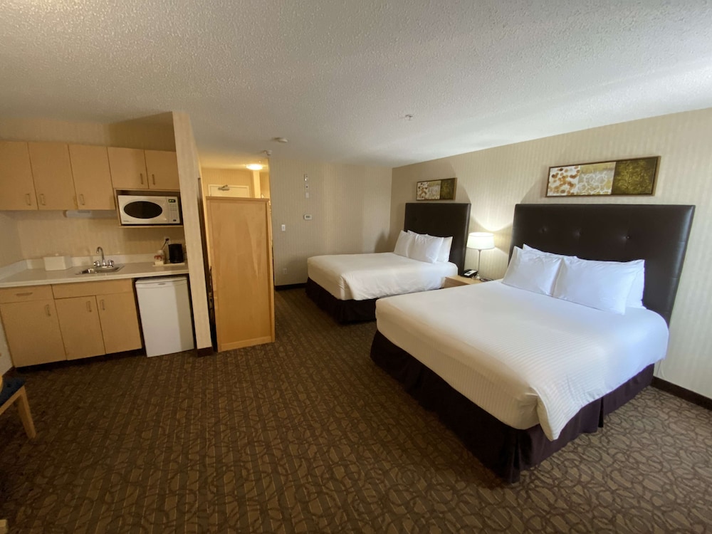 Suite, 1 Double and 2 Queen Beds