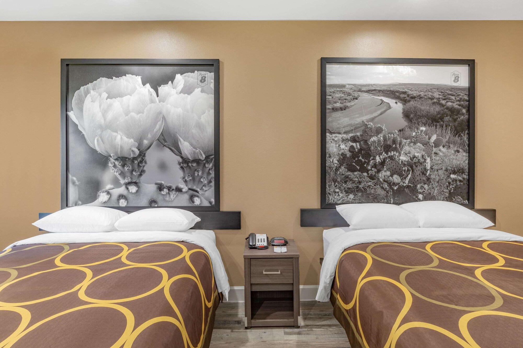 EFFICIENCY, 2 QUEEN BEDS