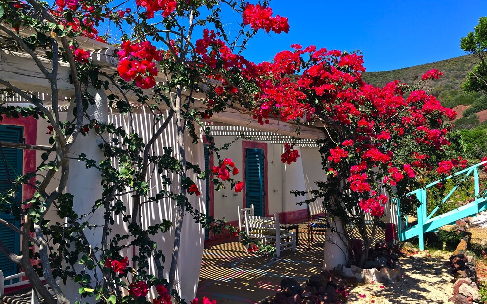 Poecylia Resort 34/39