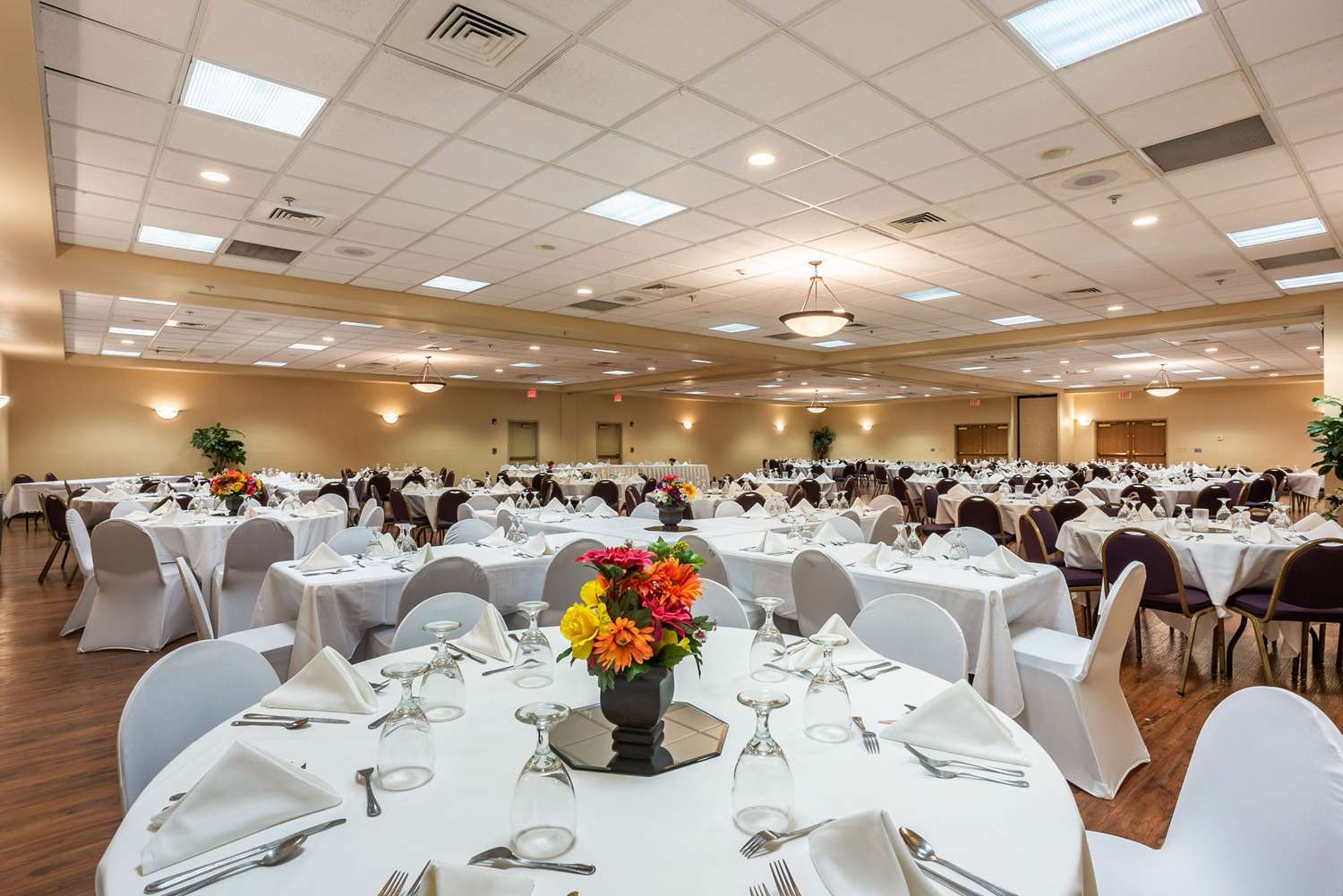Quality Inn & Suites Hannibal West 29/40