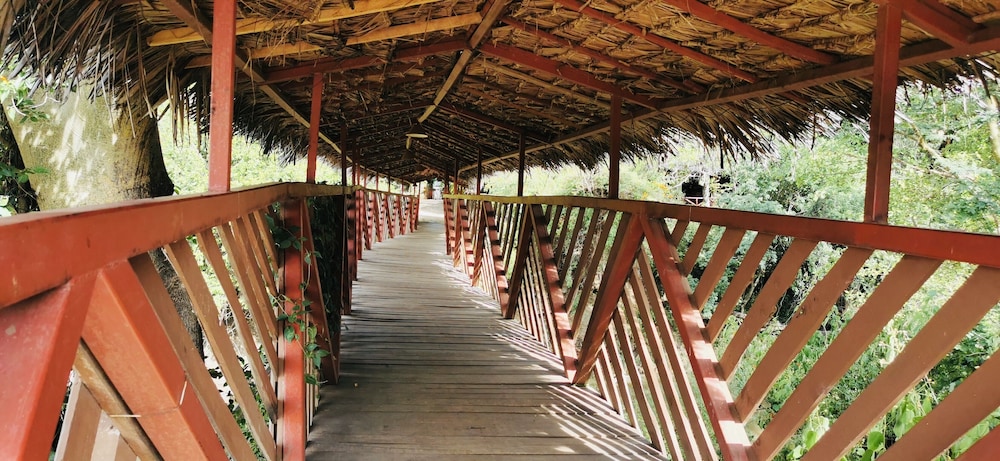 Fig Tree Camp 25/45