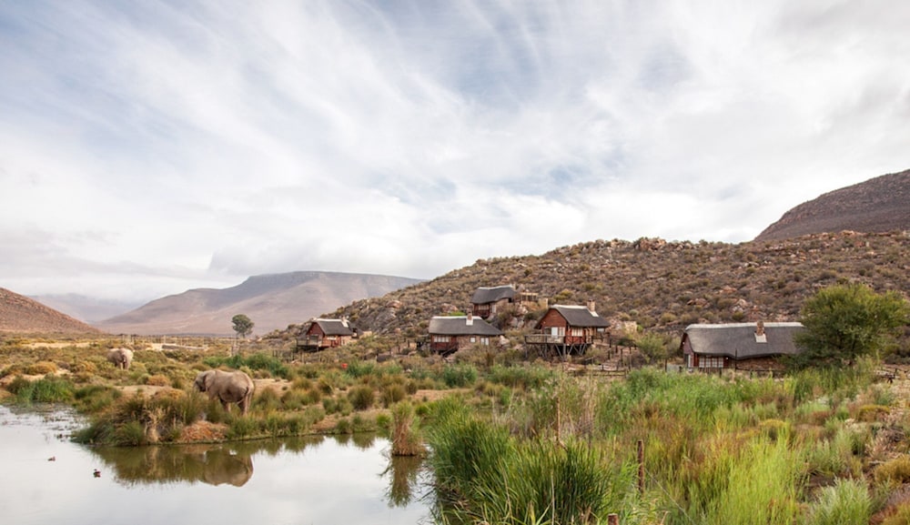 Aquila Private Game Reserve 62/65