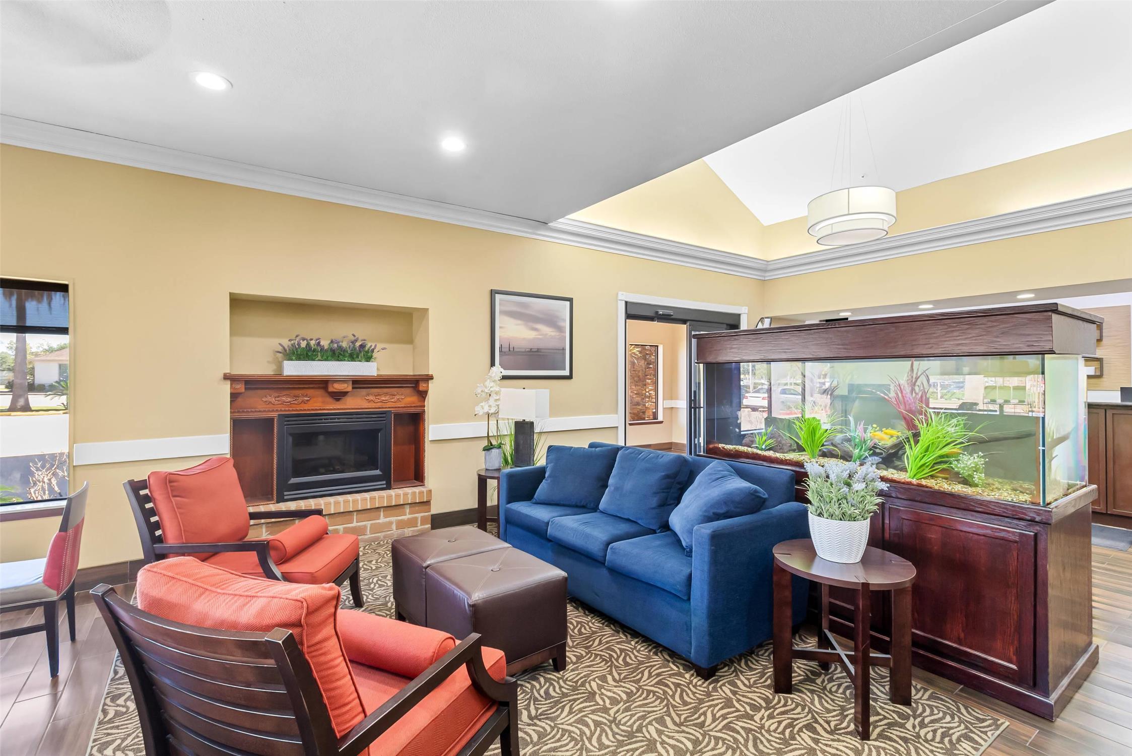 Comfort Suites Lake Jackson Clute 31/50