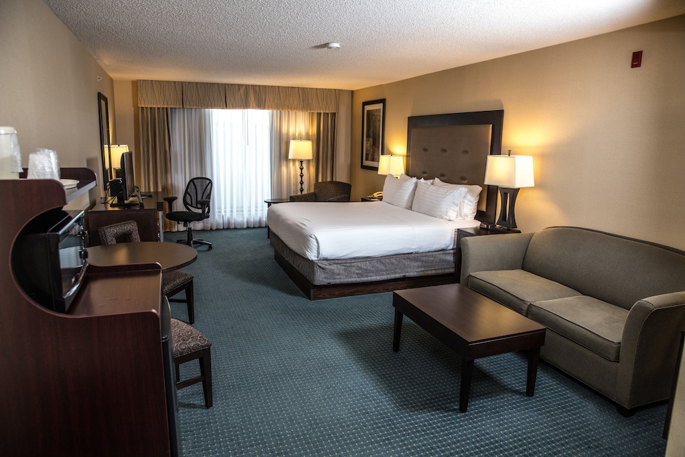 Holiday Inn Express Hotel & Suites Detroit-Novi 23/69