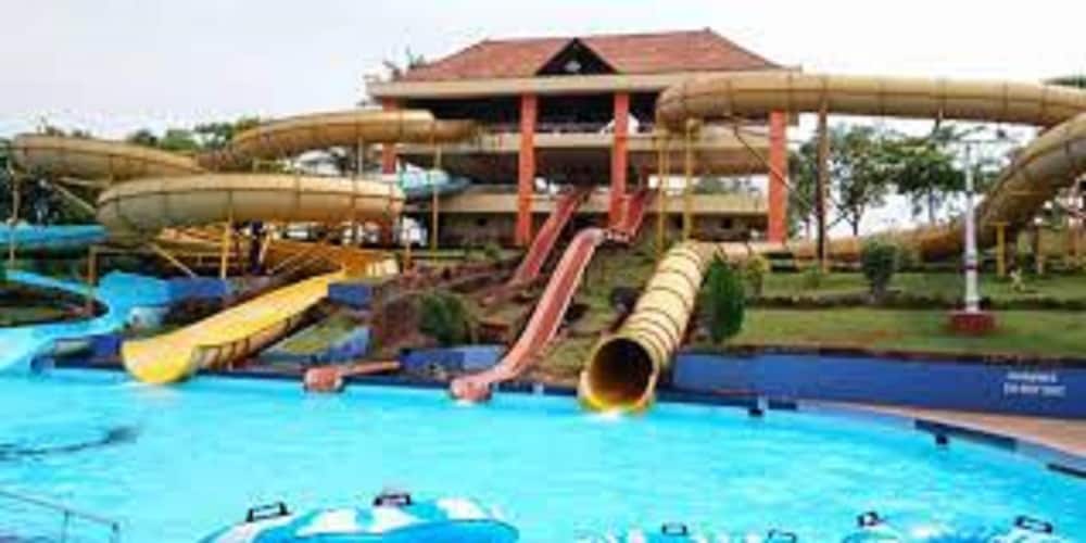 Goldfinch Hotel Mangaluru 50/60