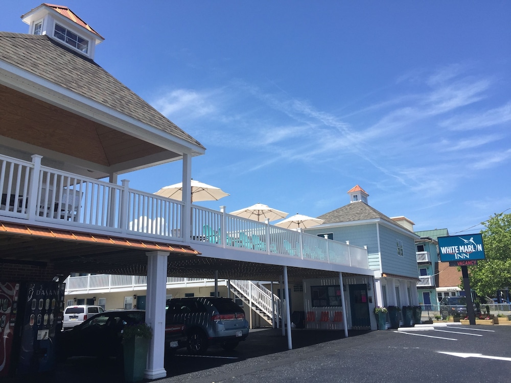 White Marlin Inn 12/18