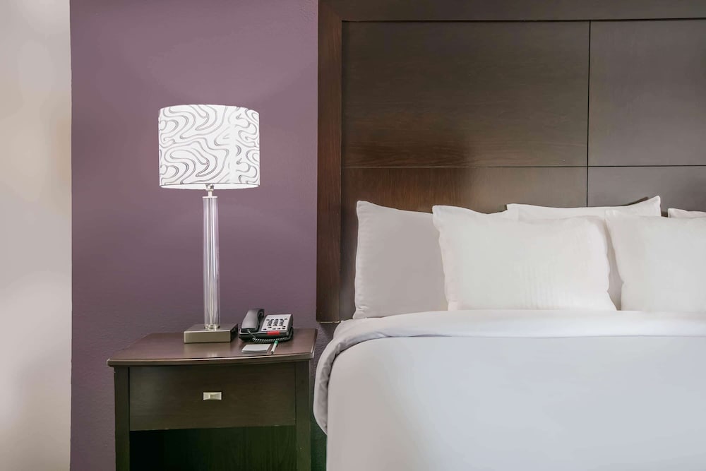 La Quinta Inn and Suites by Wyndham DFW Airport West - Euless 17/65