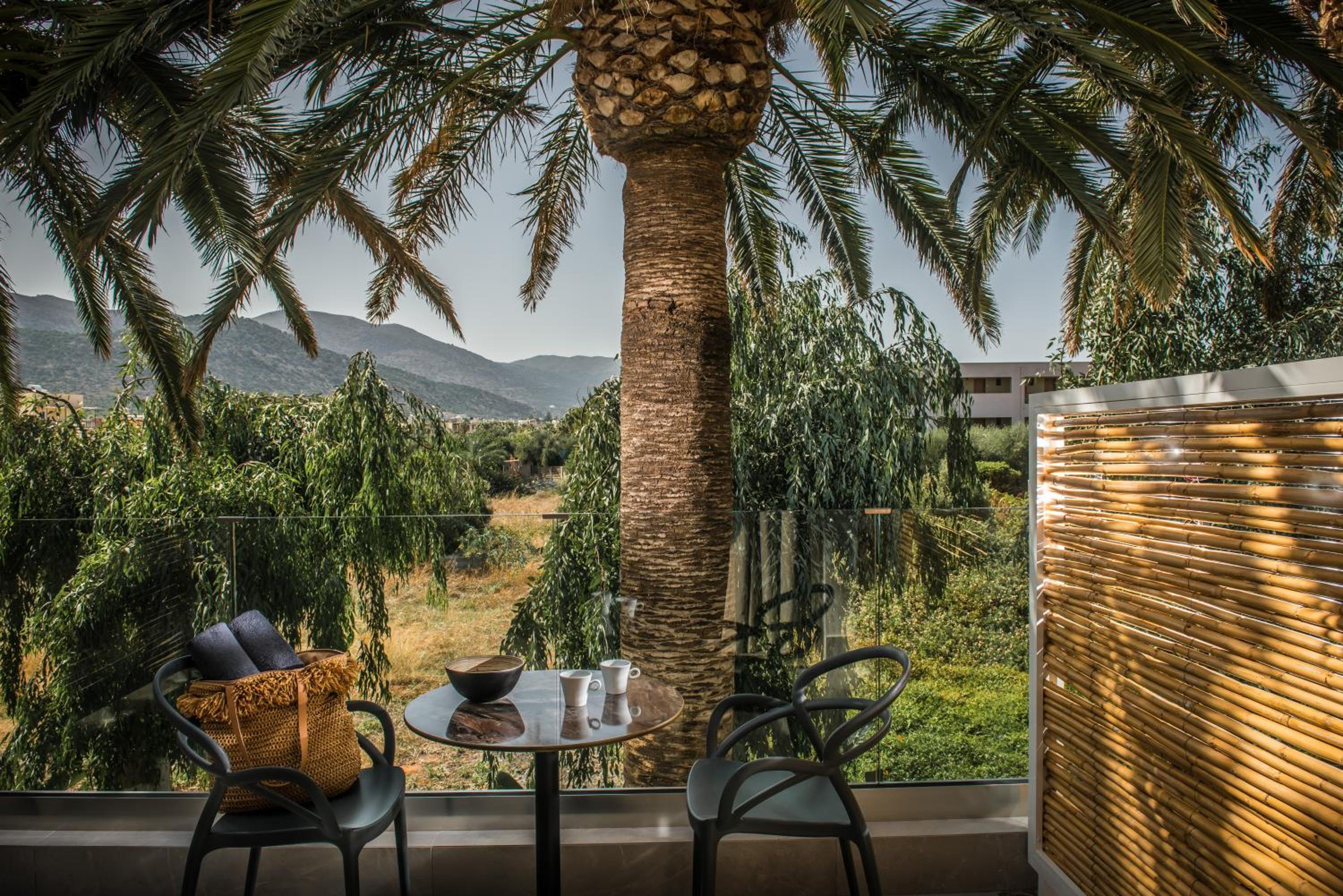 Drossia Palms Hotel - Studios 26/55