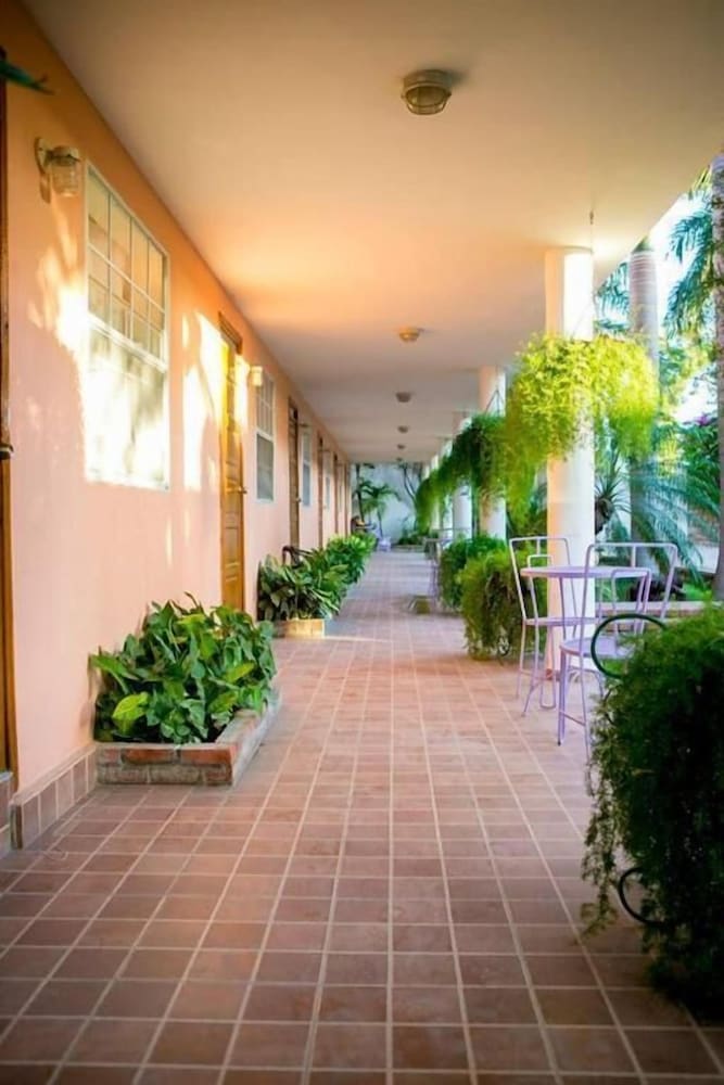 Palm Inn hotel 18/33