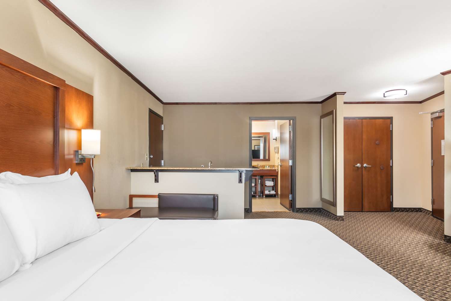 Suite, King Bed