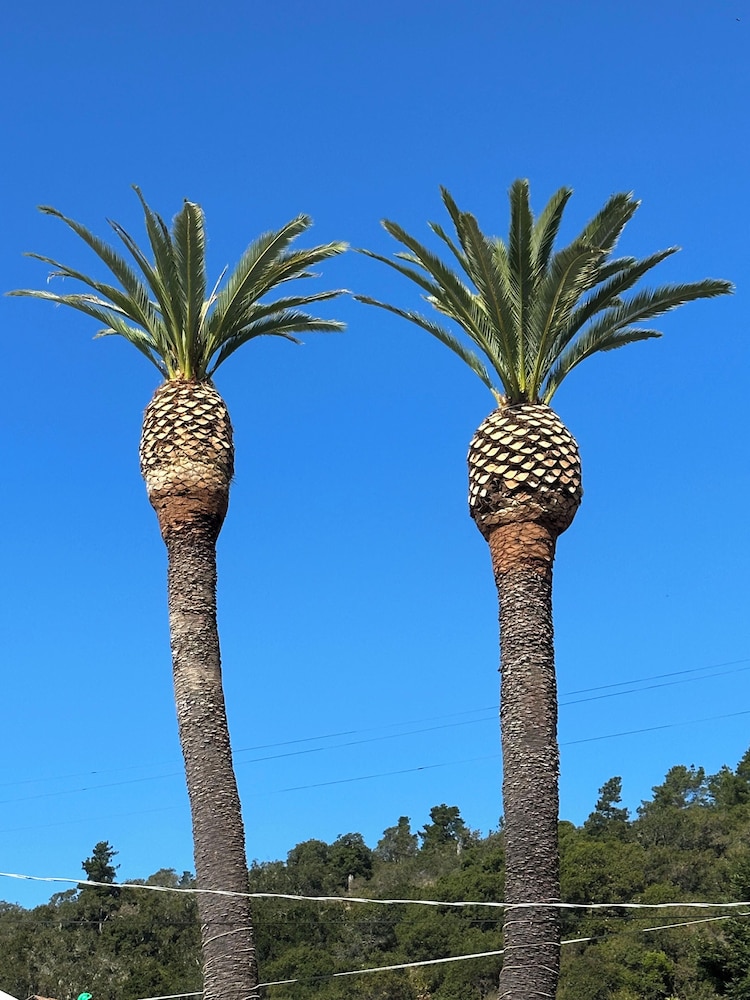 Cambria Palms Motel 27/27