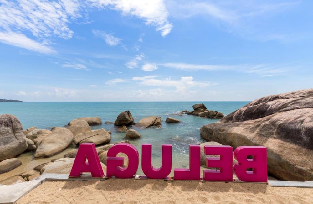 Beluga Boutique Hotel 42/50
