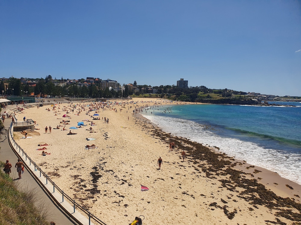 Pod Bed Coogee Beachside 28/31