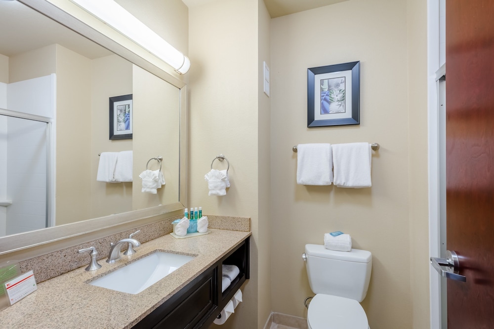 Holiday Inn Express Hotel And Suites Dallas West 7/40