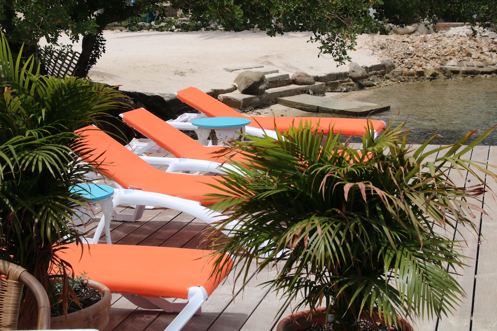 Coral Reef Beach Aruba 41/50