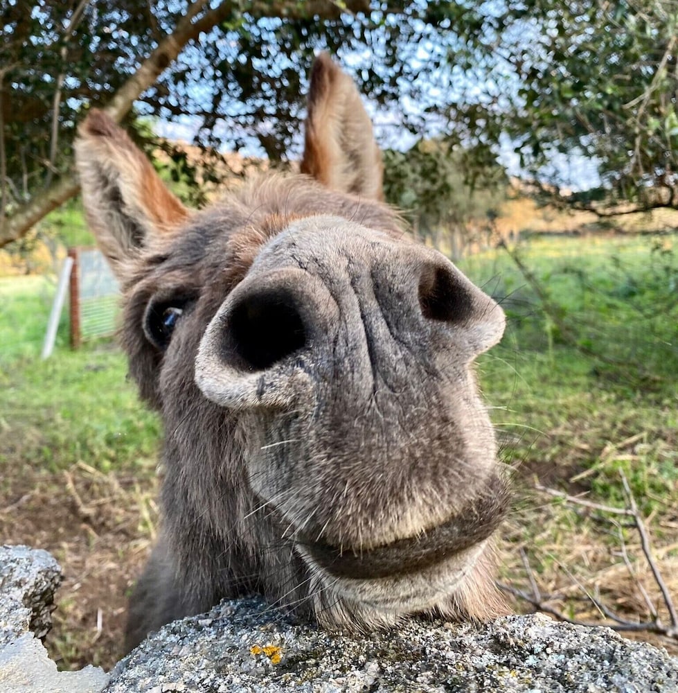Agriturismo Lu Branu 64/69