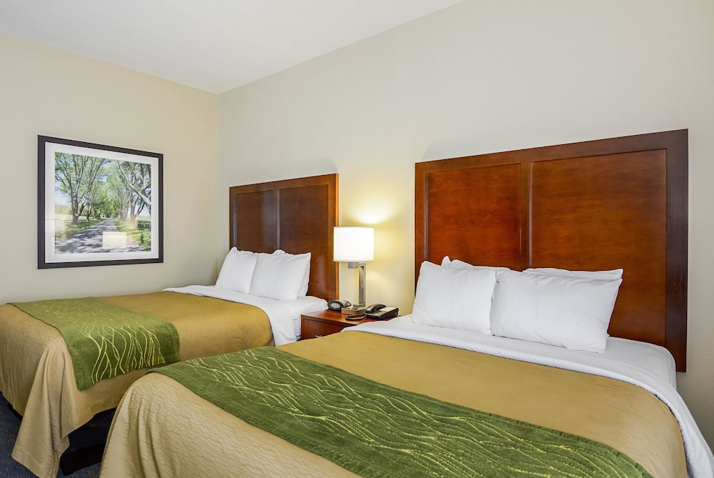 Comfort Inn Woodstock Shenandoah 11/39