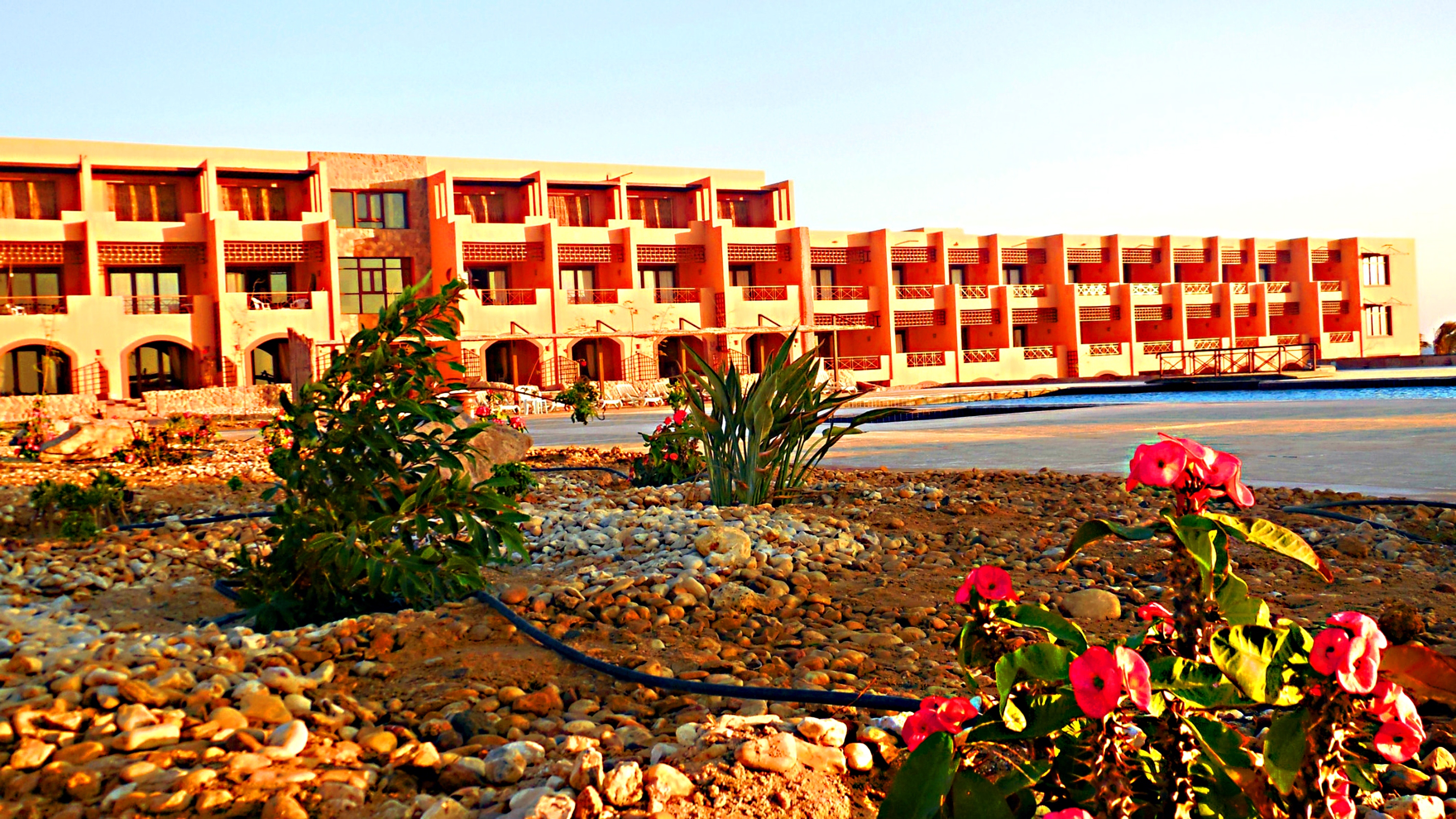 Viva Blue Resort and Diving Sharm El Naga - Adults Only (12 years and above) 53/54