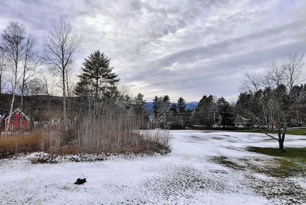 Stowe Motel Snowdrift 46/65